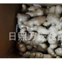 生產(chǎn)工廠供應(yīng)出口生姜，風(fēng)干姜，保鮮姜。
