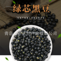 廠家直供黑皮綠仁烘炒黑豆-量大質(zhì)優(yōu)，出口品質(zhì)