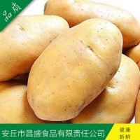 供應(yīng)出口中東、東南亞級(jí)保鮮荷蘭7號(hào)、15號(hào)（價(jià)格面議）