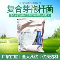 復(fù)合芽孢桿菌 水溶肥沖施肥 生根壯根活化土壤 農(nóng)作物化肥廠(chǎng)家