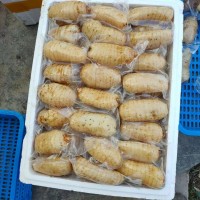 鮮天麻真空保鮮天麻一個(gè)一袋，酒店冰鎮(zhèn)天麻片，天麻食材長年供應(yīng)
