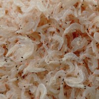 廠家直供天然烘干蝦皮 海味產(chǎn)品 流水線小蝦皮，【新品上市】