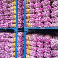 大量供應(yīng)山東大蒜，干蒜，鮮蒜、市場(chǎng)蒜。蒜米料，出口大蒜